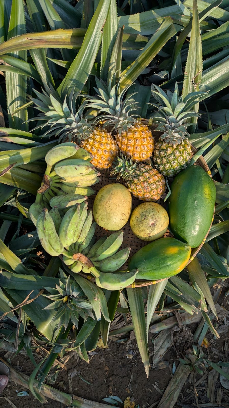 নতুনকুঁড়ি সমবায়ের একটি মুহূর্ত